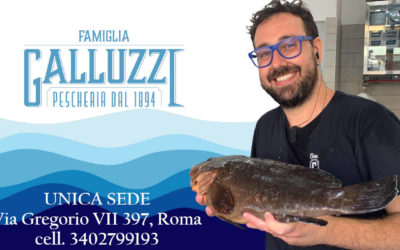 Pescheria Galluzzi pesce pescato dal 1894