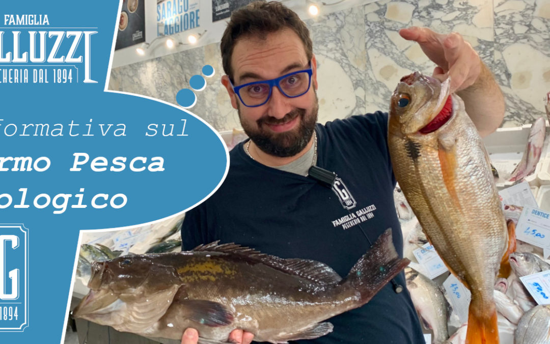 Informativa sul Fermo di Pesca Biologico